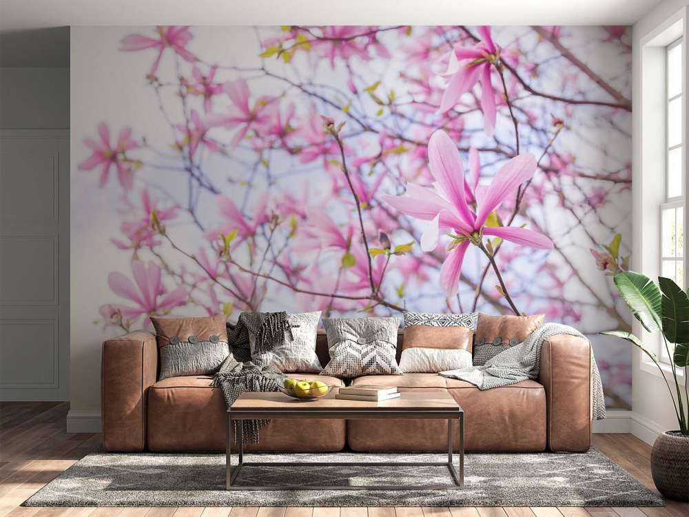 Magnolia