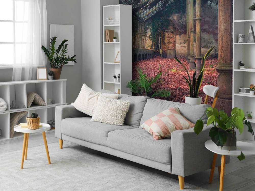 Maison abandonnée avec des feuilles