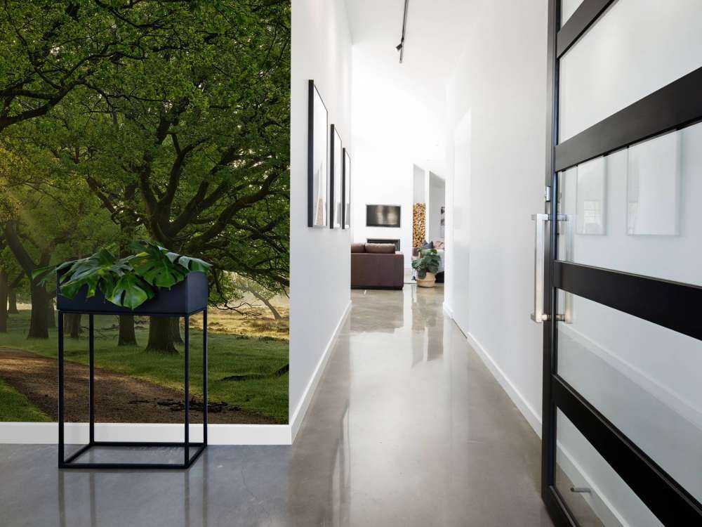 Chemin entre les chênes