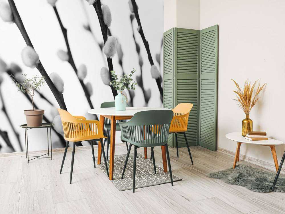 Saule de la forêt en noir et blanc