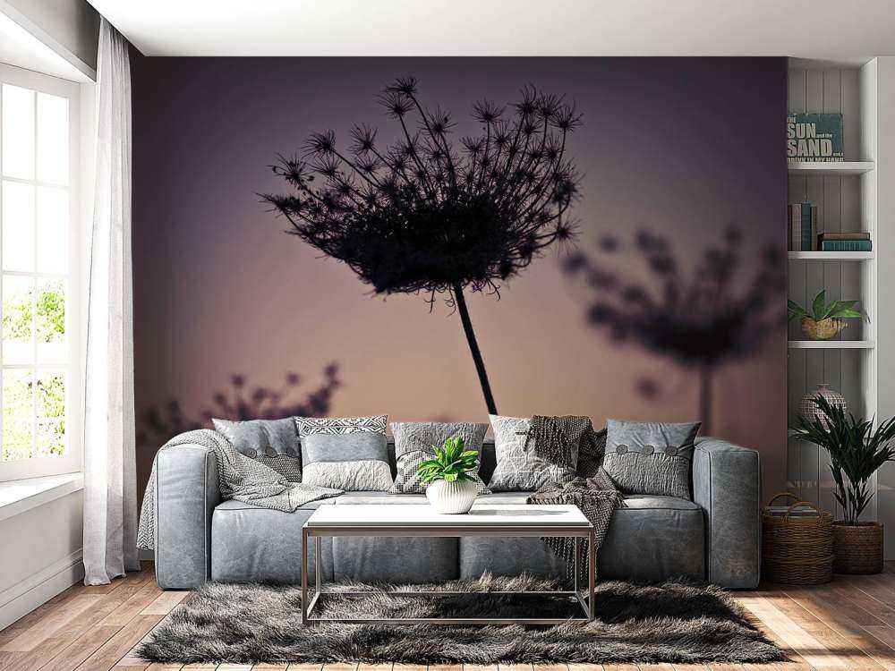 Silhouette de fleurs