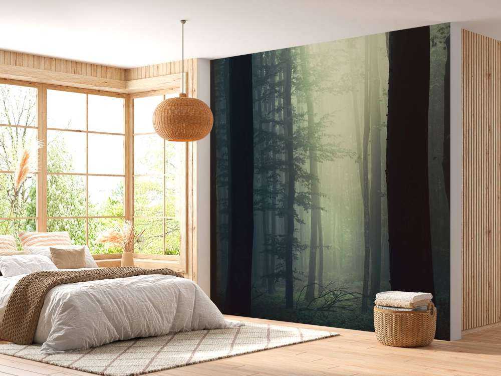 Rayon de soleil dans la forêt