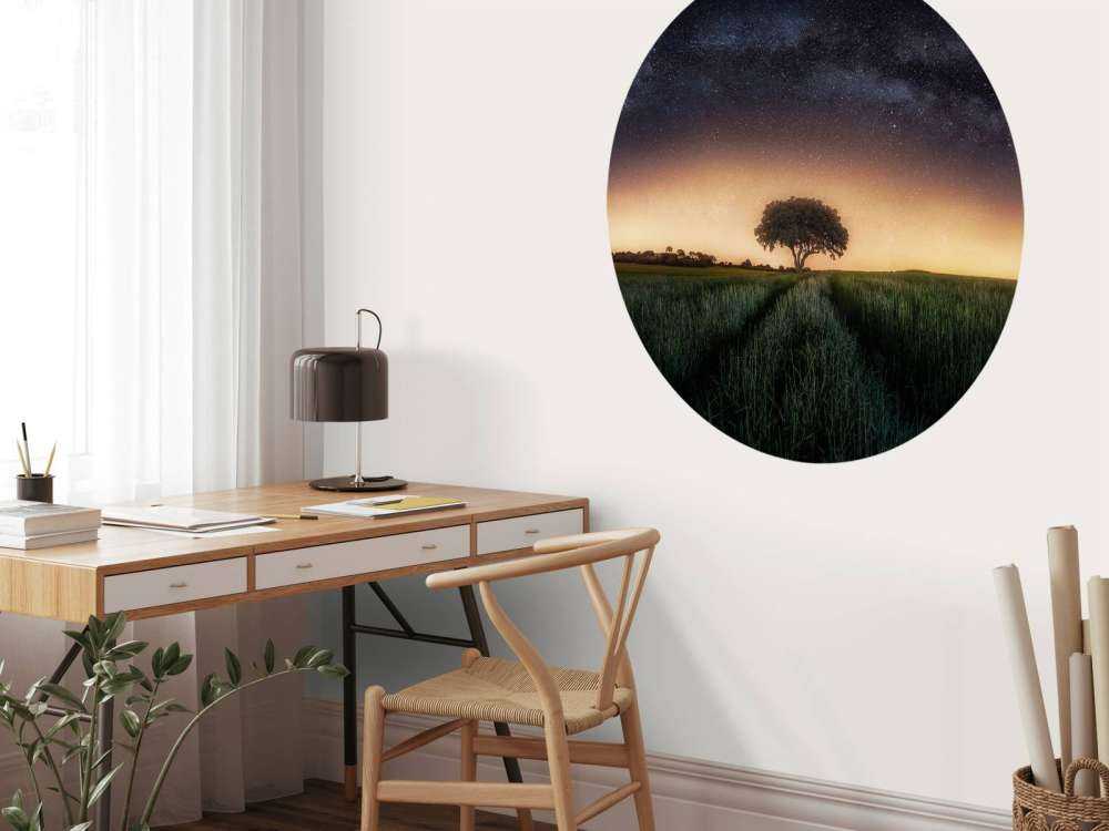 Milky way over lonely tree