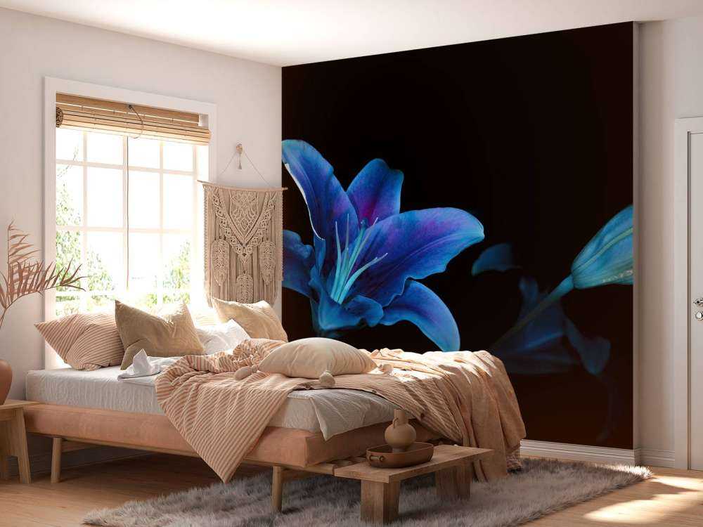 Fleurs ultraviolettes