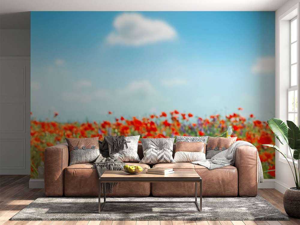 Coquelicots et marguerites