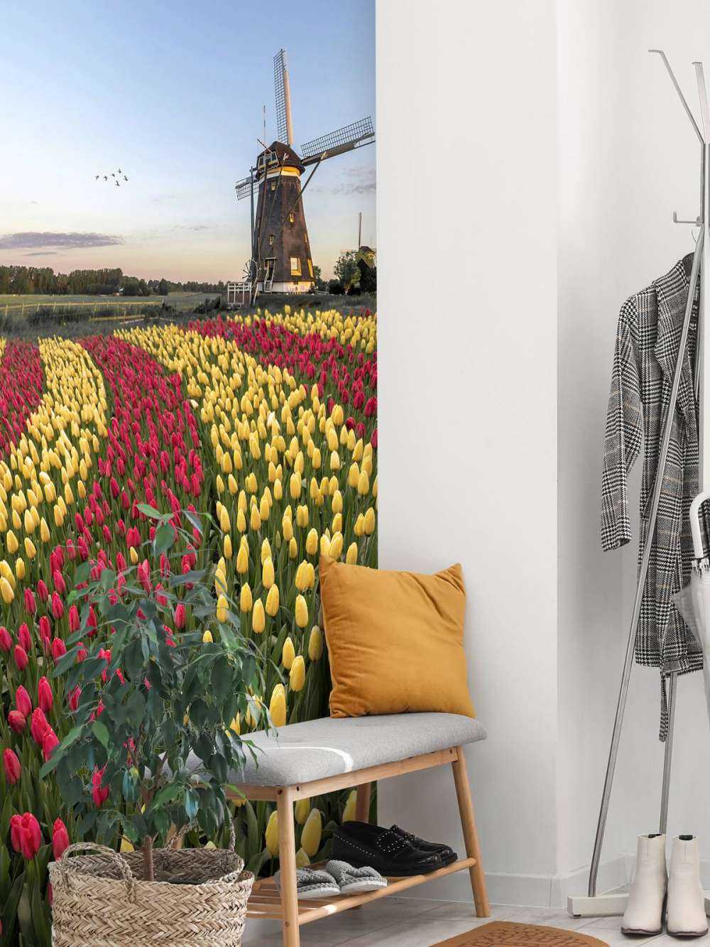 Champ de tulipes néerlandais