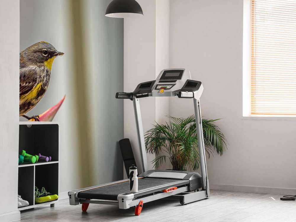 Fleur de paradis avec oiseau