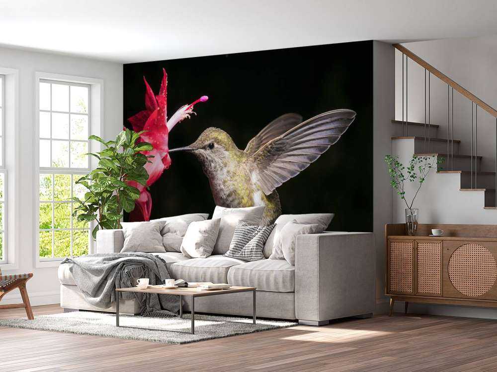 Colibri avec une fleur rouge