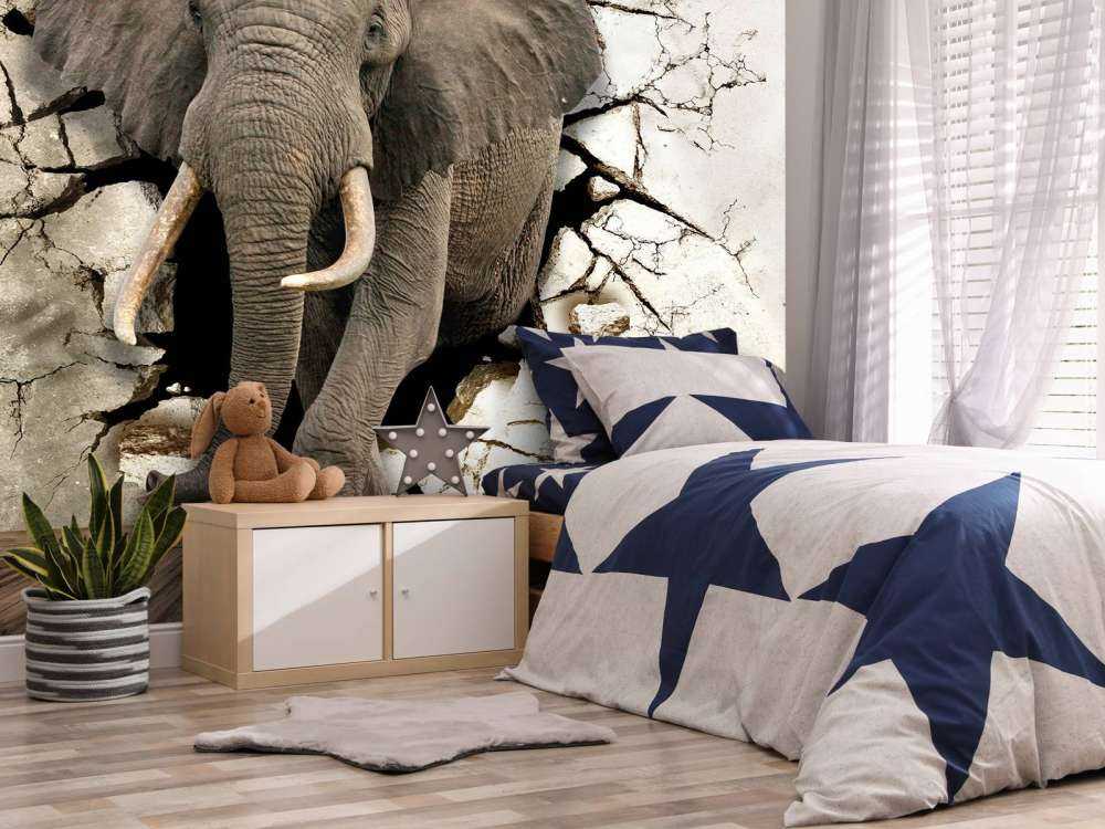 Grand éléphant hors du mur