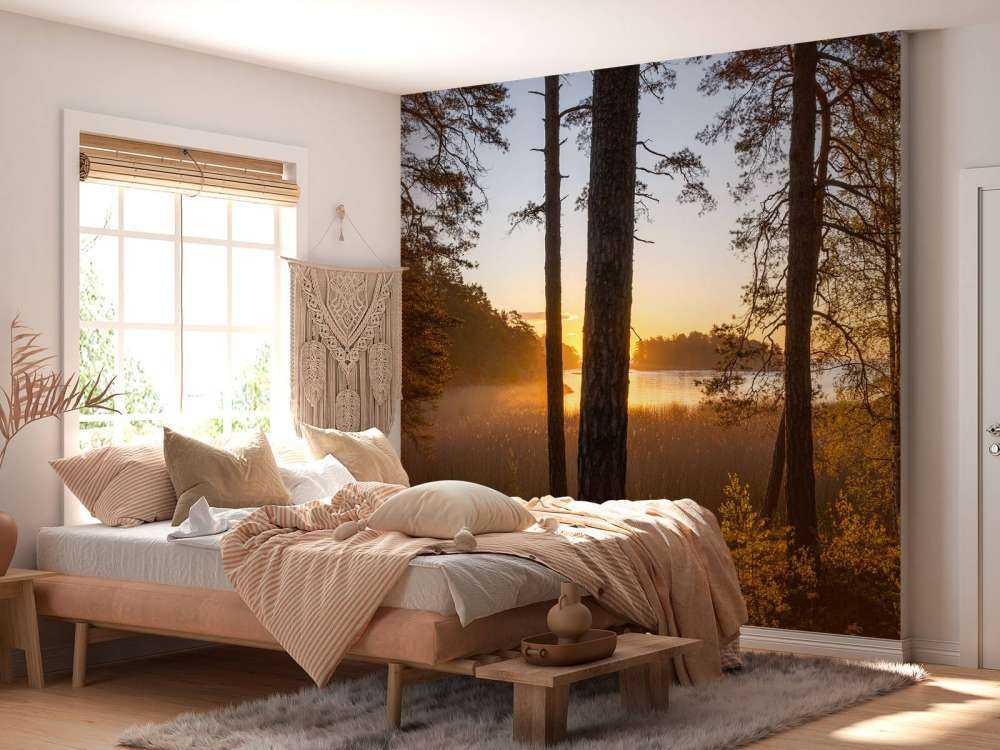 Forêt au coucher du soleil