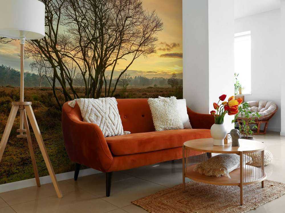 Lever de soleil sur la lande