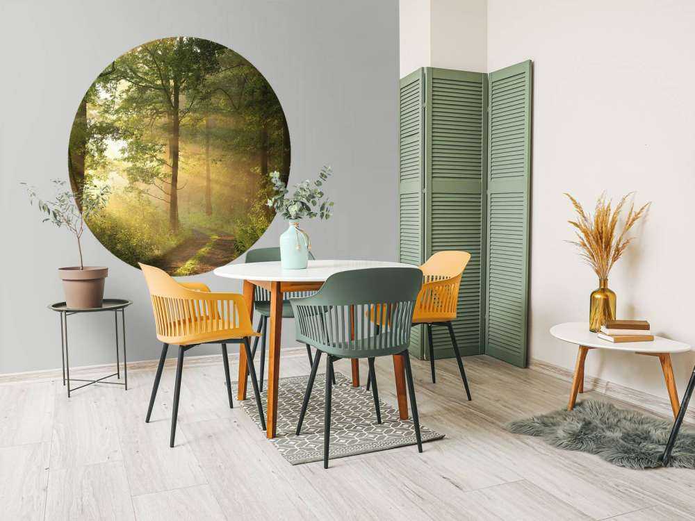 Matin brumeux de printemps