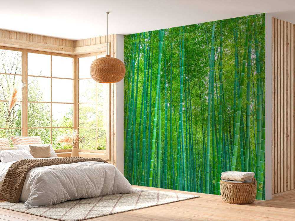 Une forêt verte de bambous