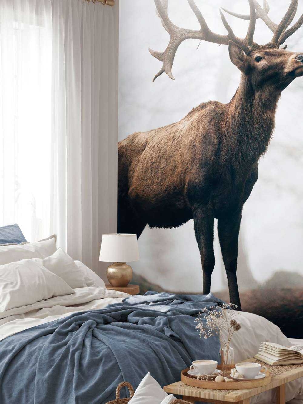 Des rennes dans le brouillard