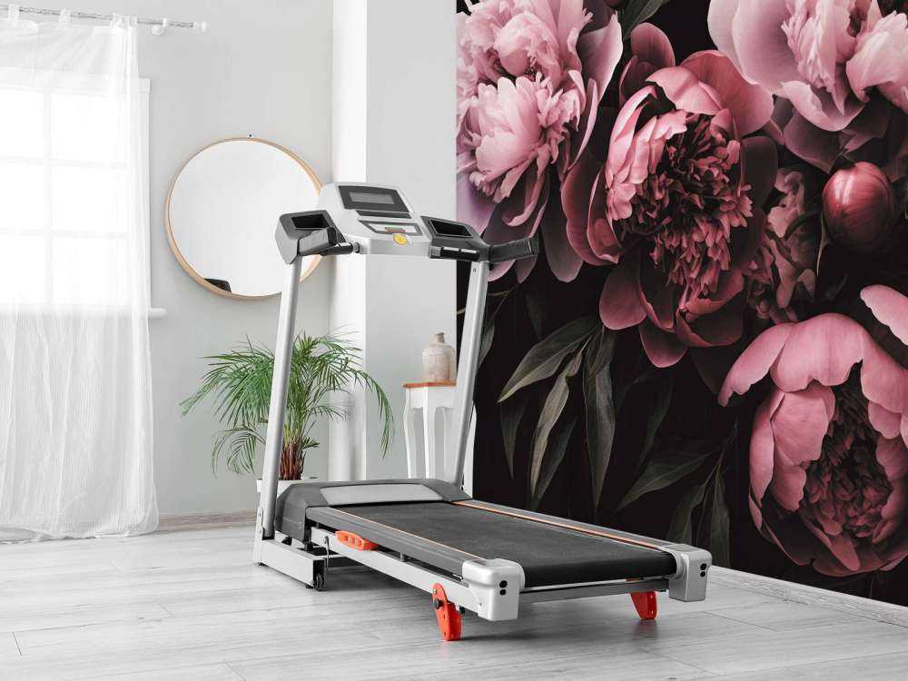 pivoines opulentes fleurs romantiques rose pastel