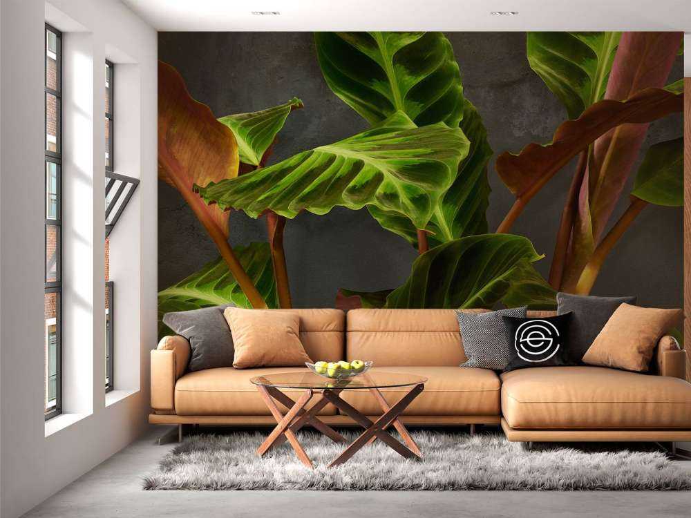 Plante avec de belles feuilles vertes