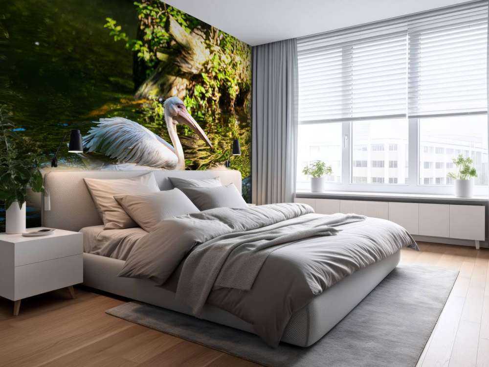 Pélican sur la rivière