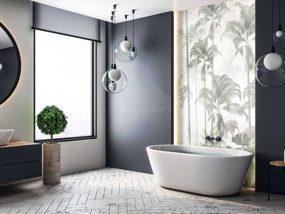 Aurore dans la Sauvage