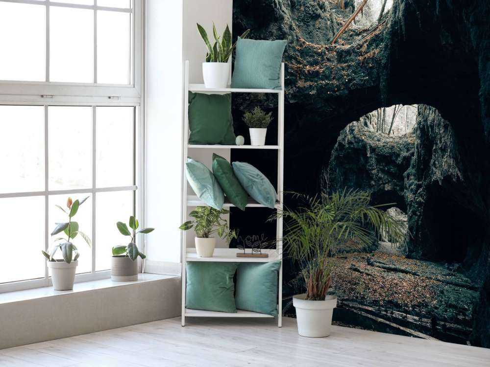 Anciennes mines de fer reconquises par la nature