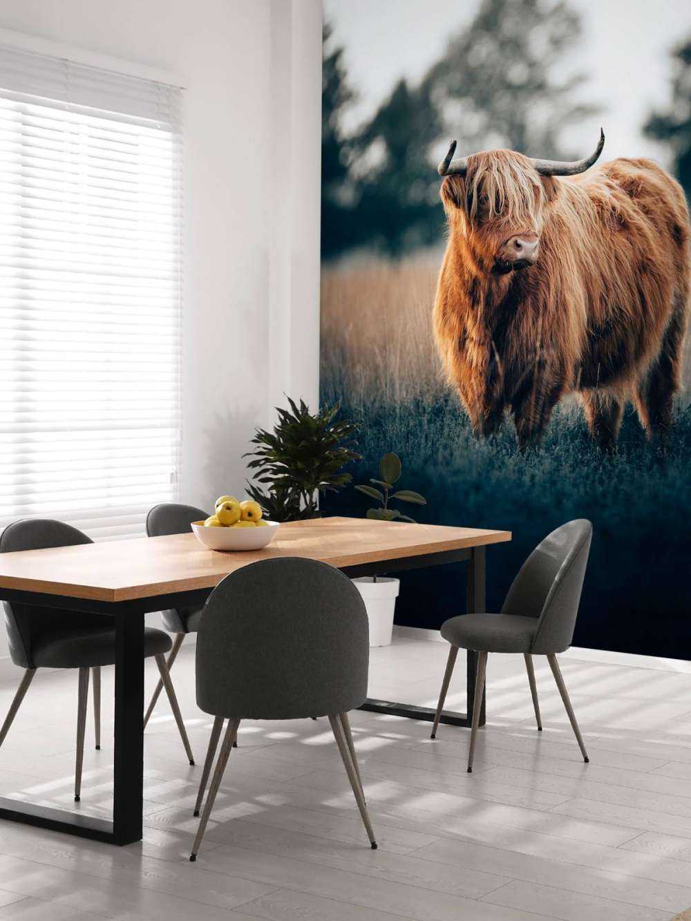 Portrait de Highlands