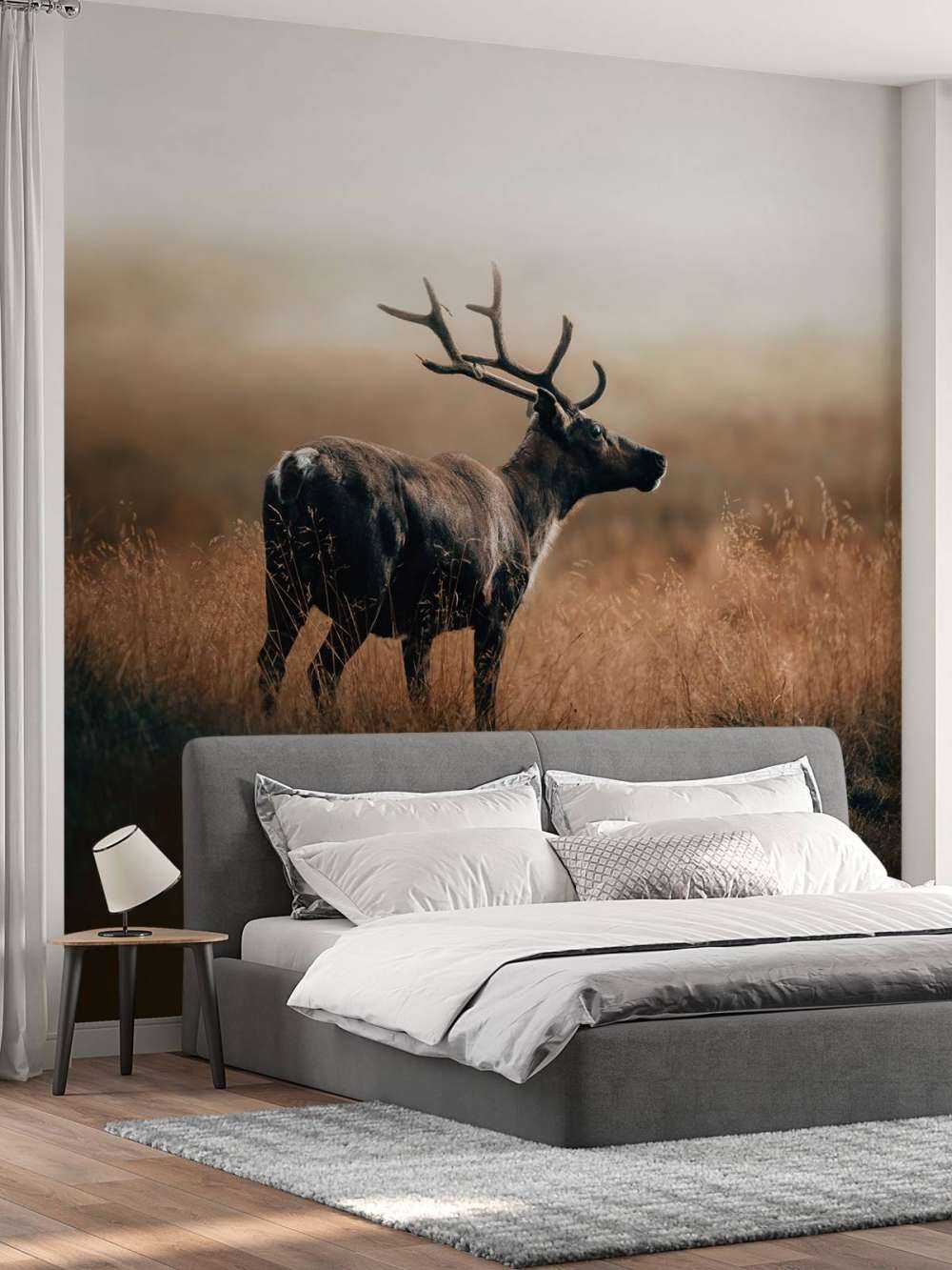 Renne dans les hautes herbes