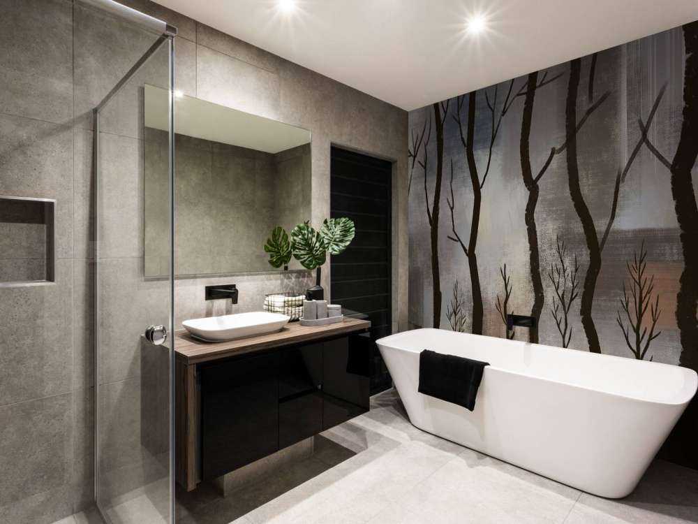 Crépuscule Silence Forêt de cerfs