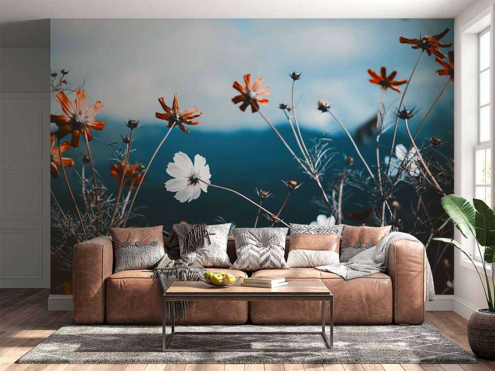 Le cosmos fleurit dans les champs