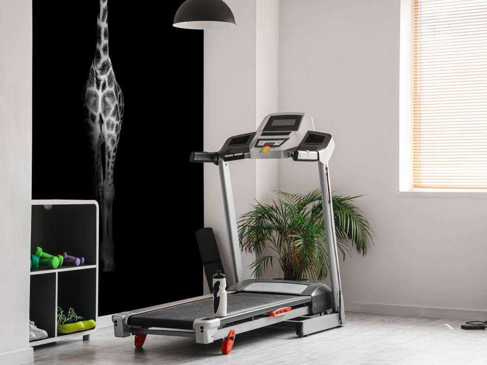 Girafe en noir et blanc