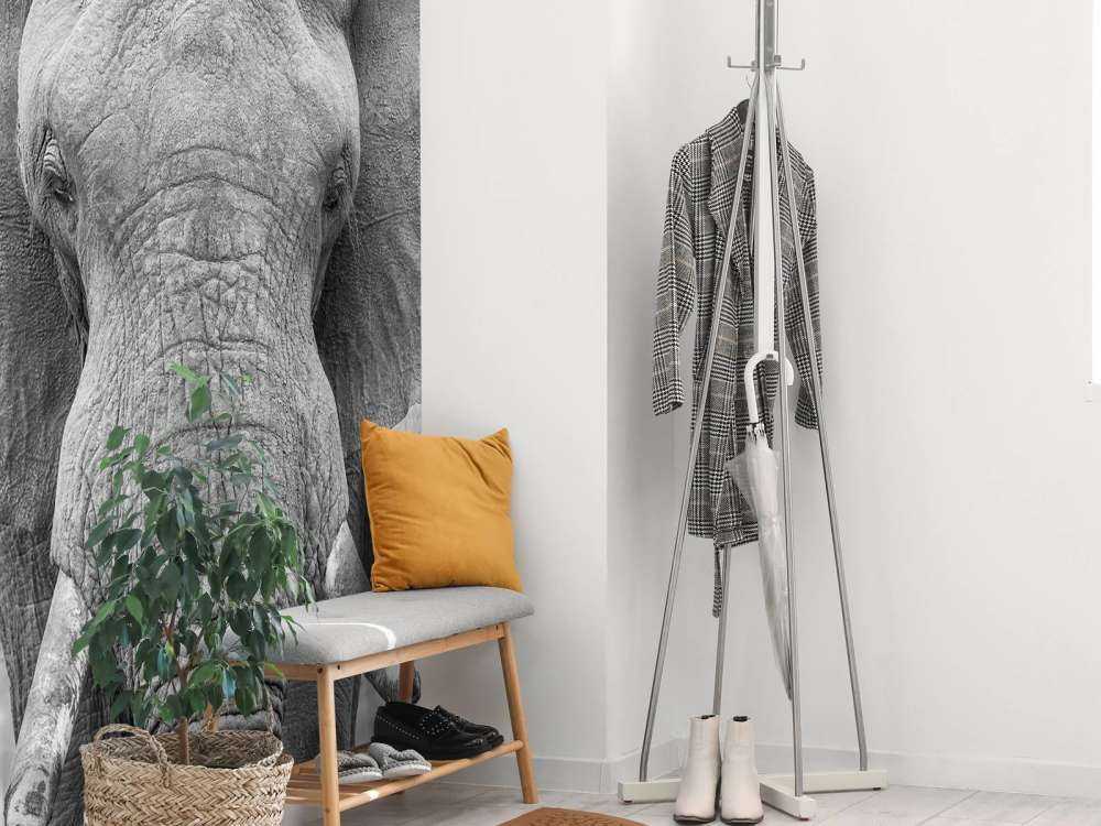 L'éléphant en noir et blanc