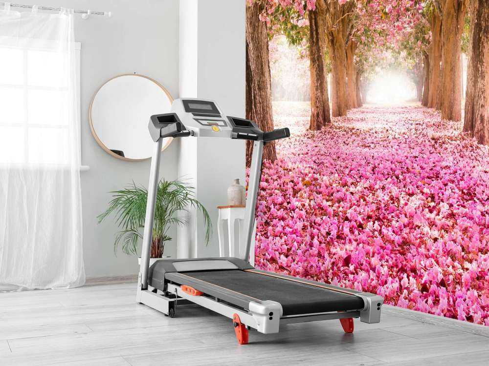 Fleur de papier peint pour photos