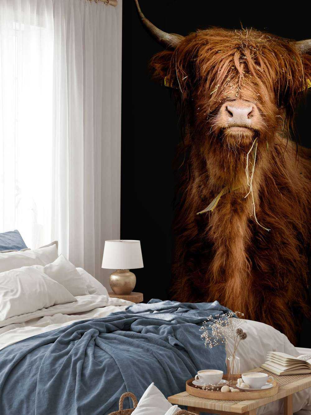 Portrait Scottish Highlander