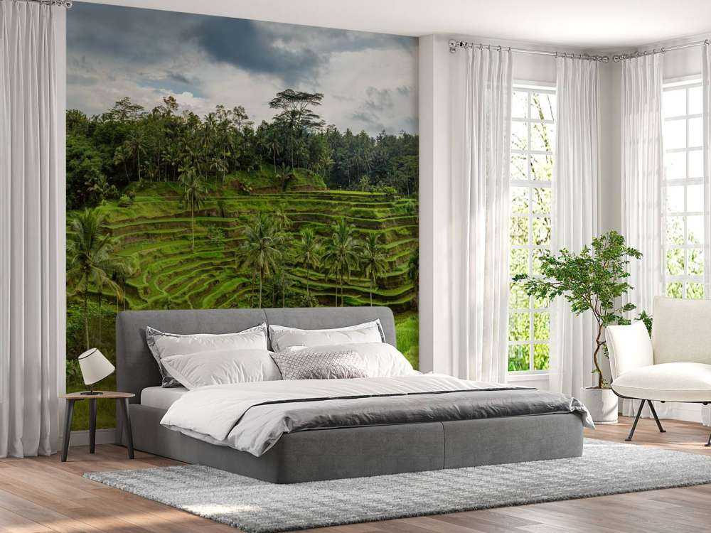 Les rizières thaïlandaises