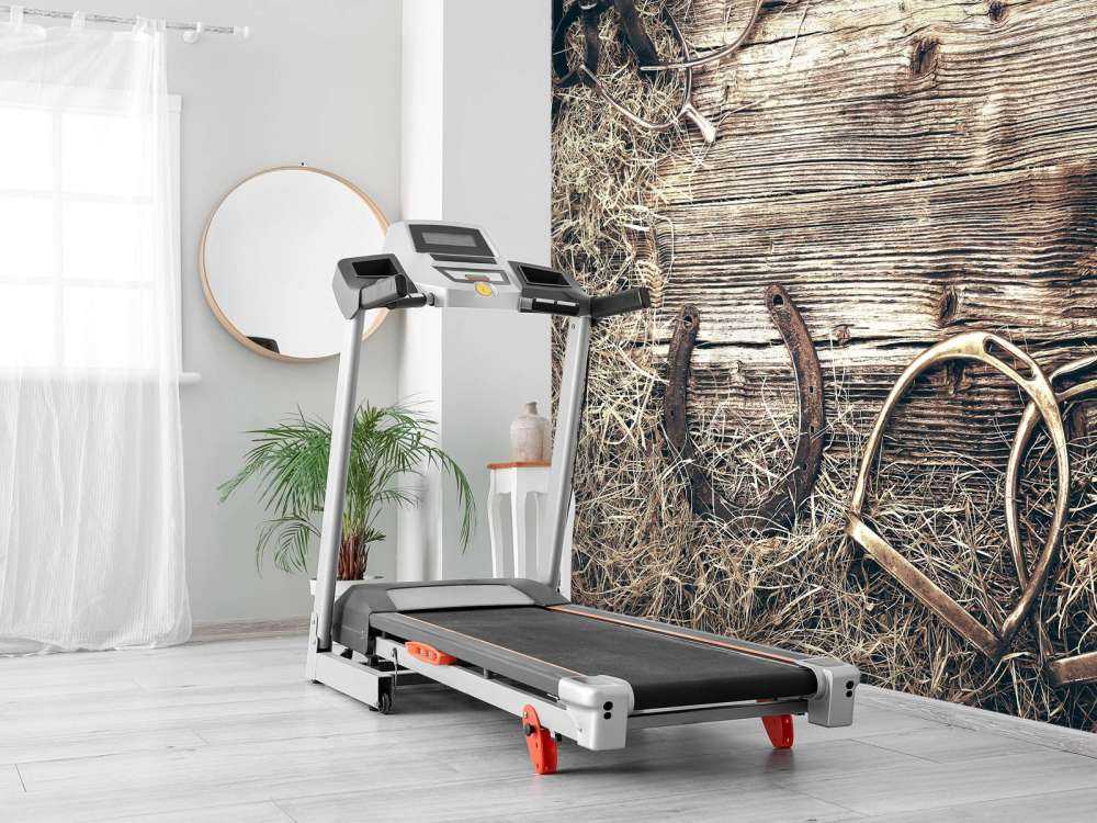 Équipement pour les chevaux