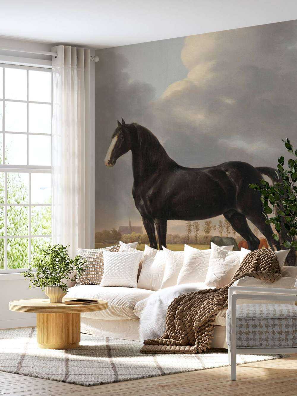 Photo fond d'écran cheval. Le bêcheur De Vlugge