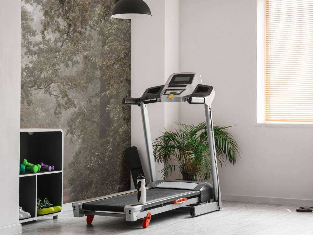 Chemin à travers la forêt brumeuse