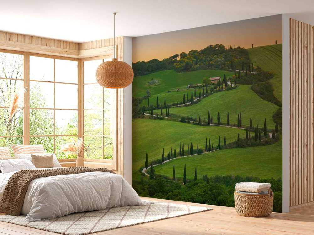 Route sinueuse avec des cyprès