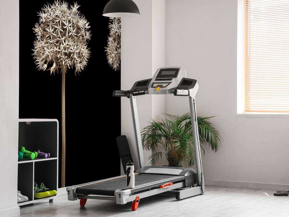 Trois fleurs d'allium en ligne