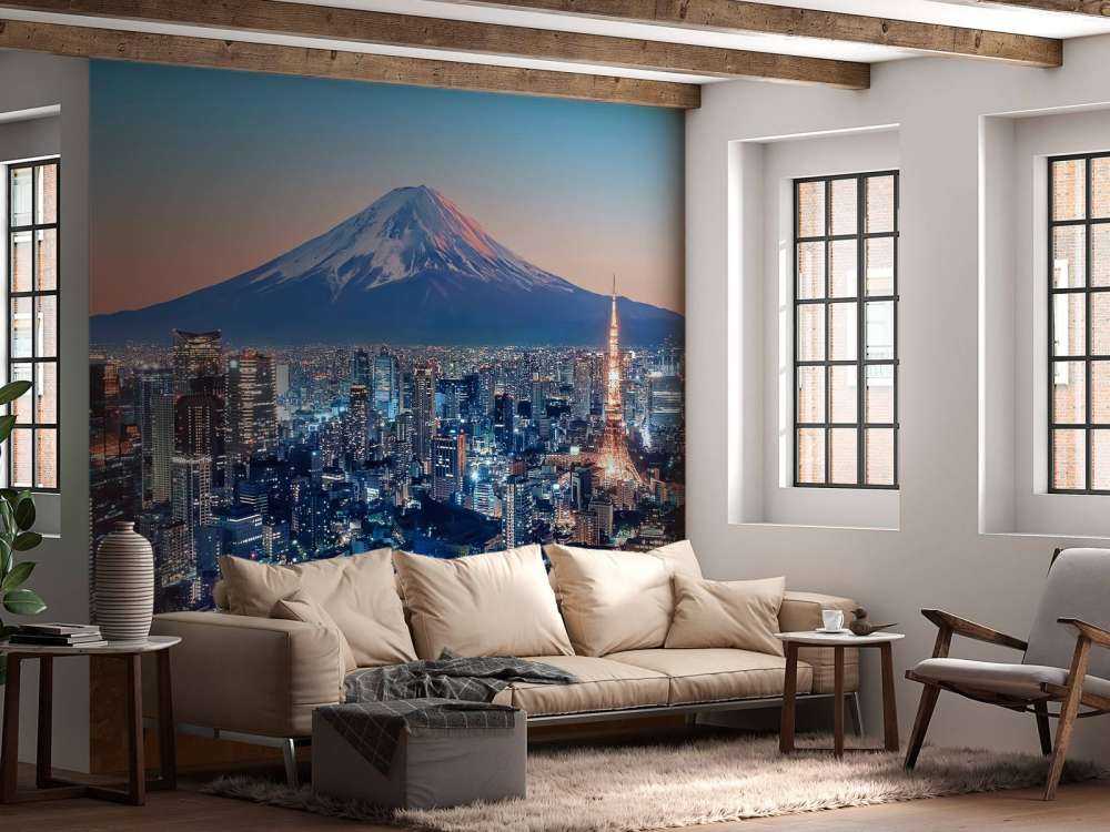 Tokyo au coucher du soleil