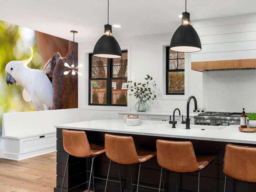 Cacatoès dans la cavité d'un arbre