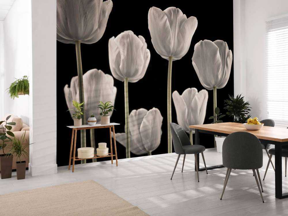 Différentes tulipes