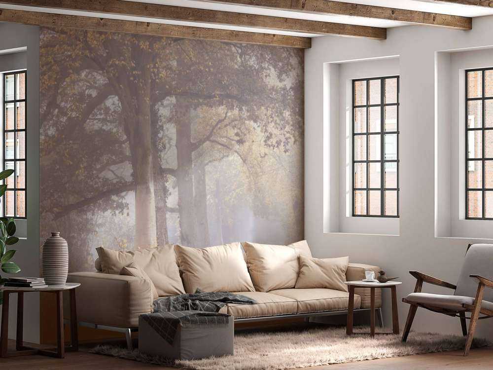 Route brumeuse avec des arbres