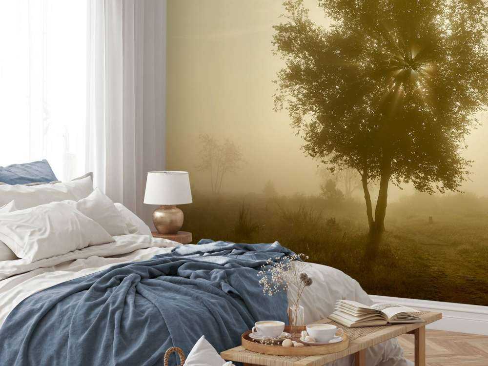 Lever de soleil doré