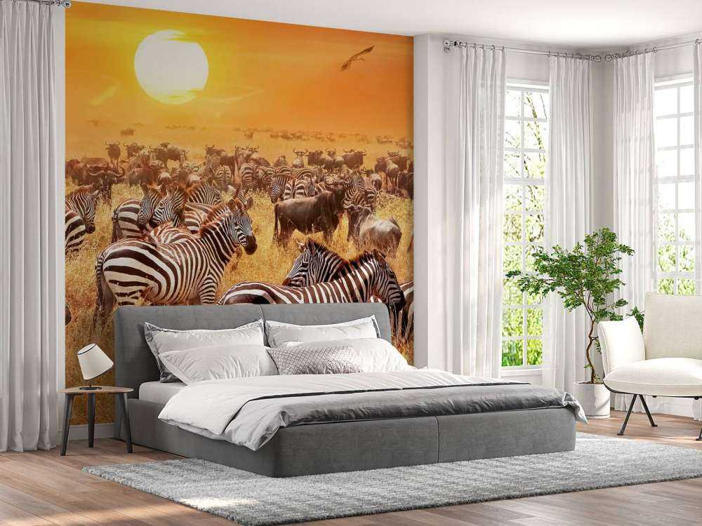 Soleil de la savane avec des zèbres