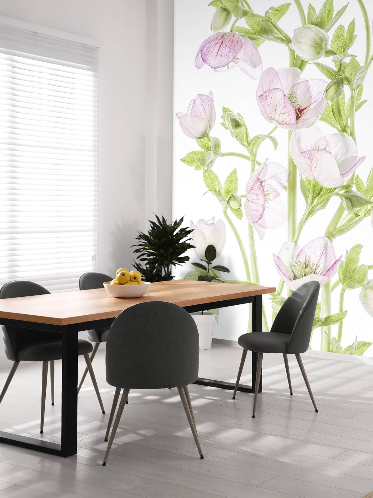 Hellebore