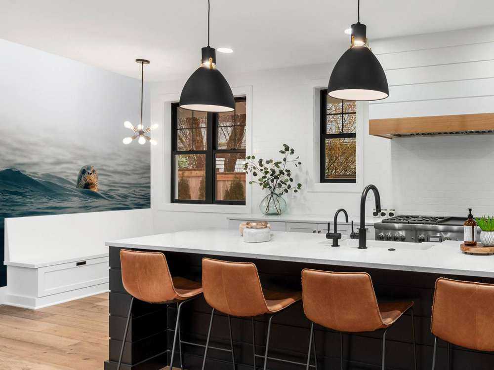 Un phoque au large des côtes danoises