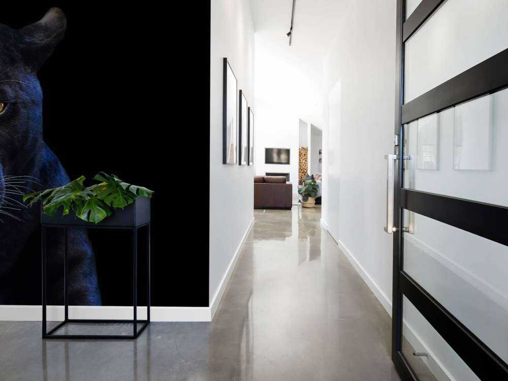 Gros plan sur une panthère