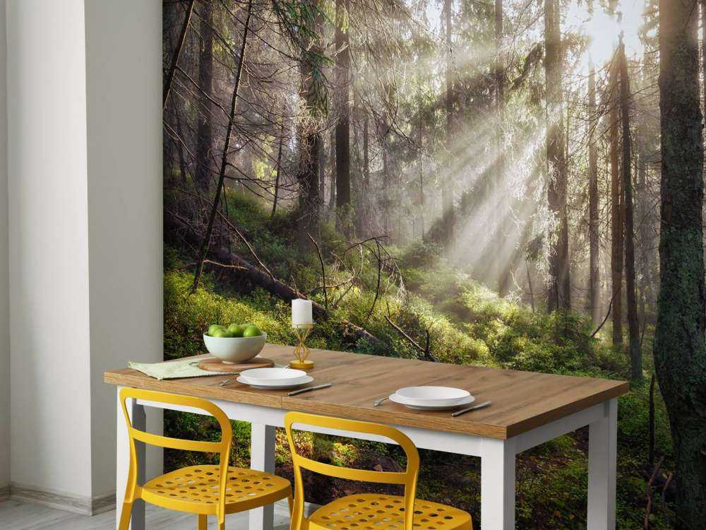 Forêt d'automne ensoleillée