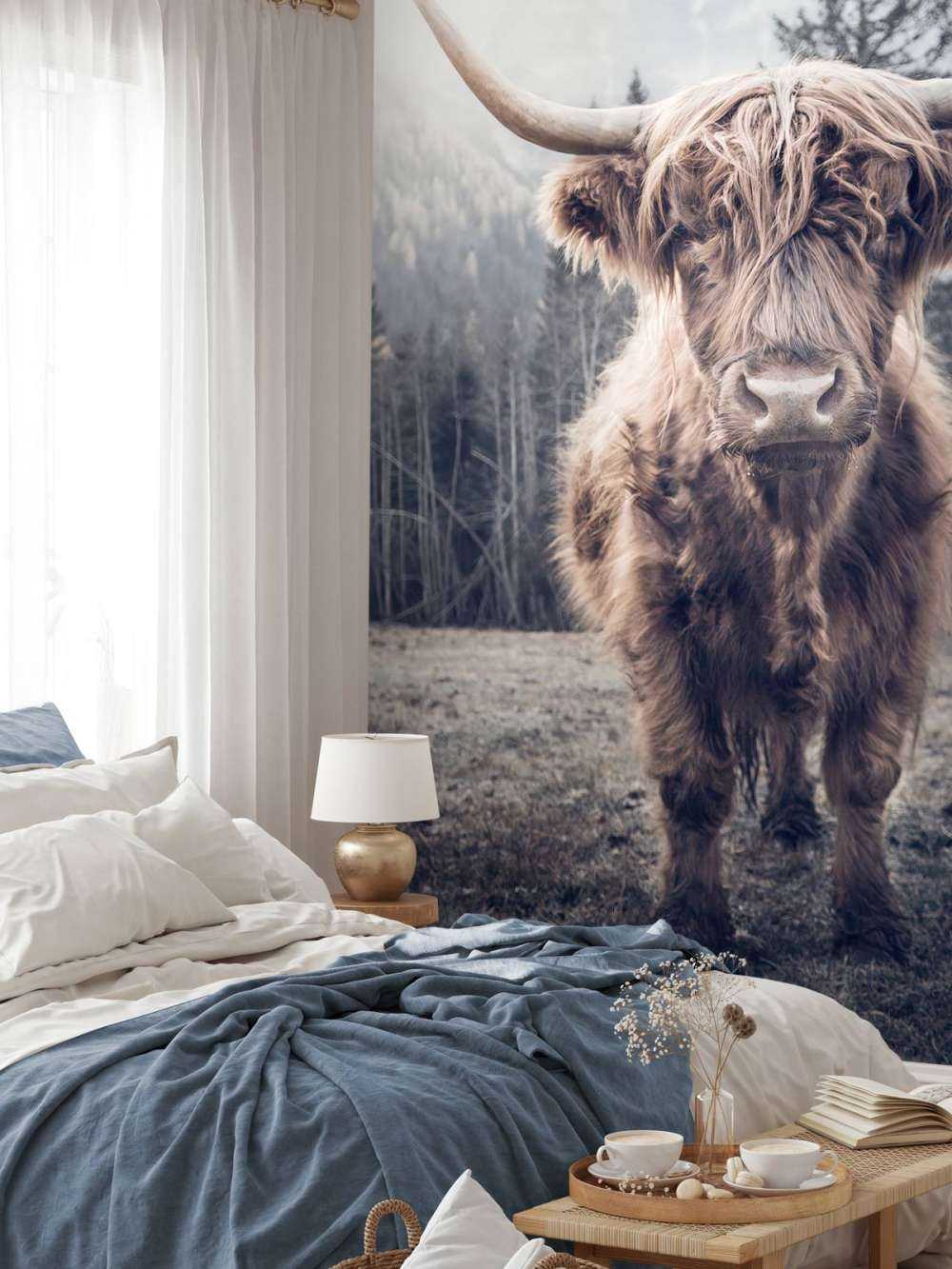 Le Highland écossais au bord de la forêt