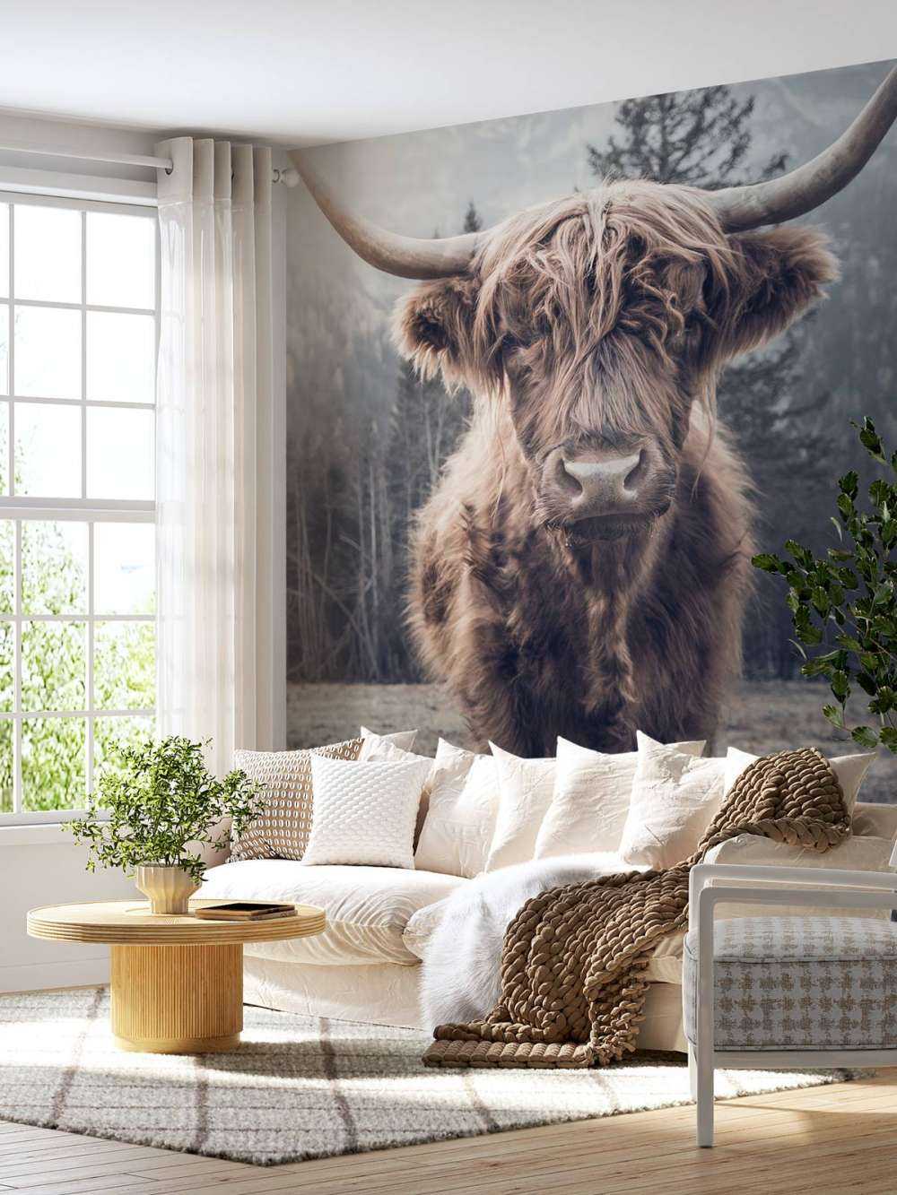 Le Highland écossais au bord de la forêt