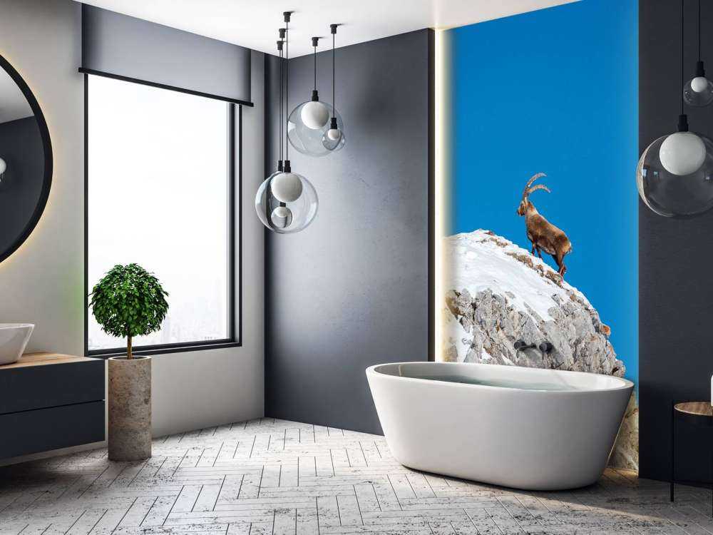 Steenbok sur un pic rocheux enneigé